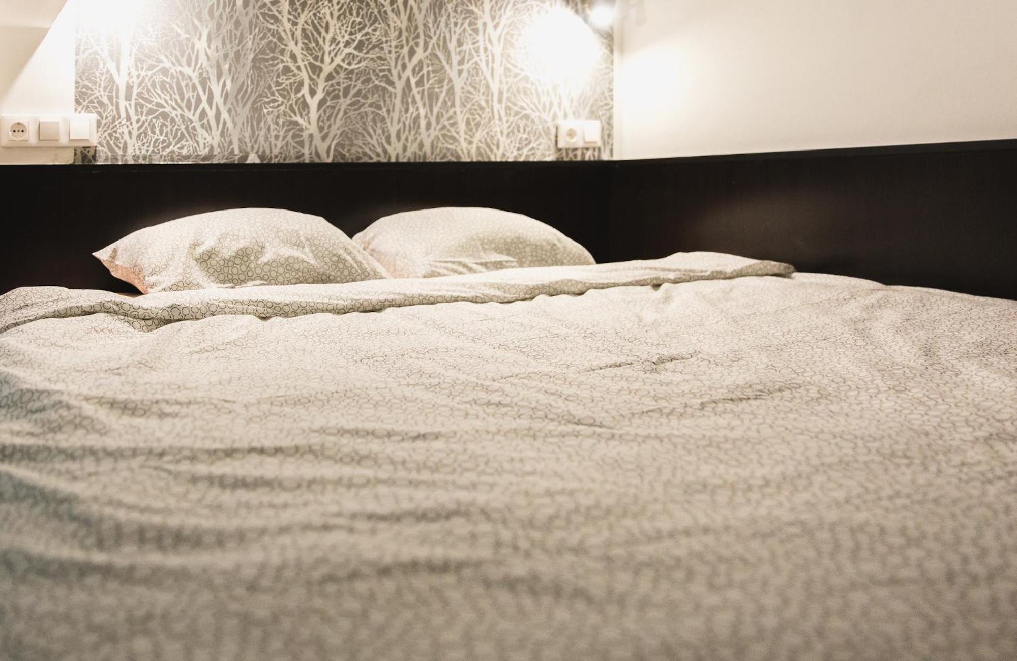 Cozy Dowtown Lofts